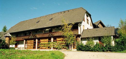 Guest House Turisticna Kmetija Plaznik Ljubno Exterior photo